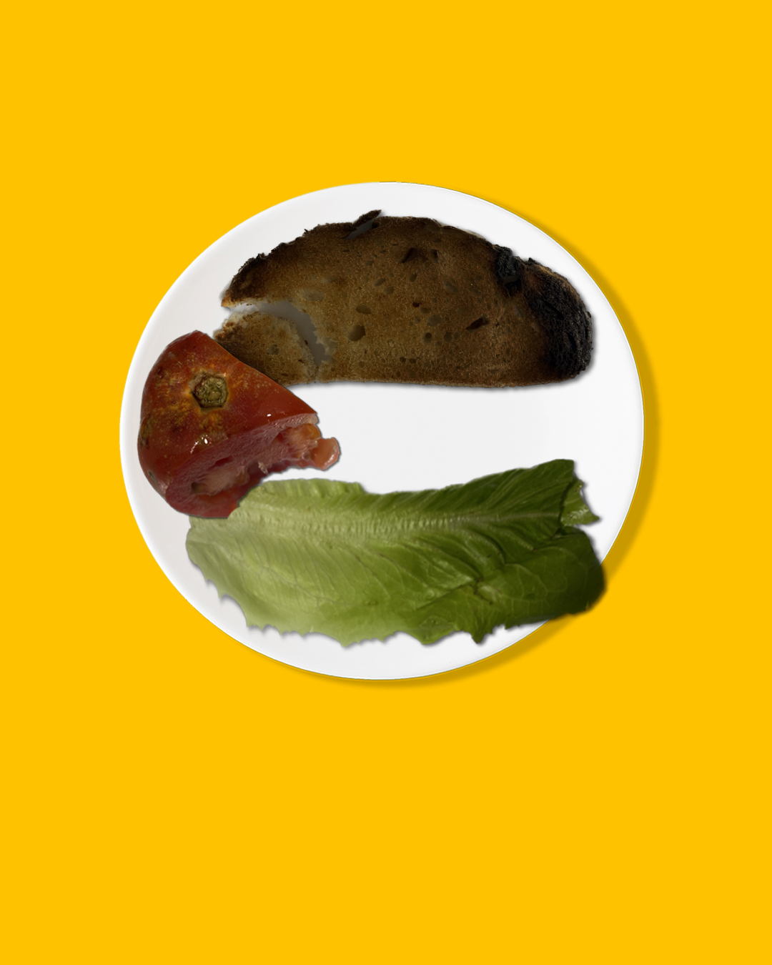 mete conciencia al papeo